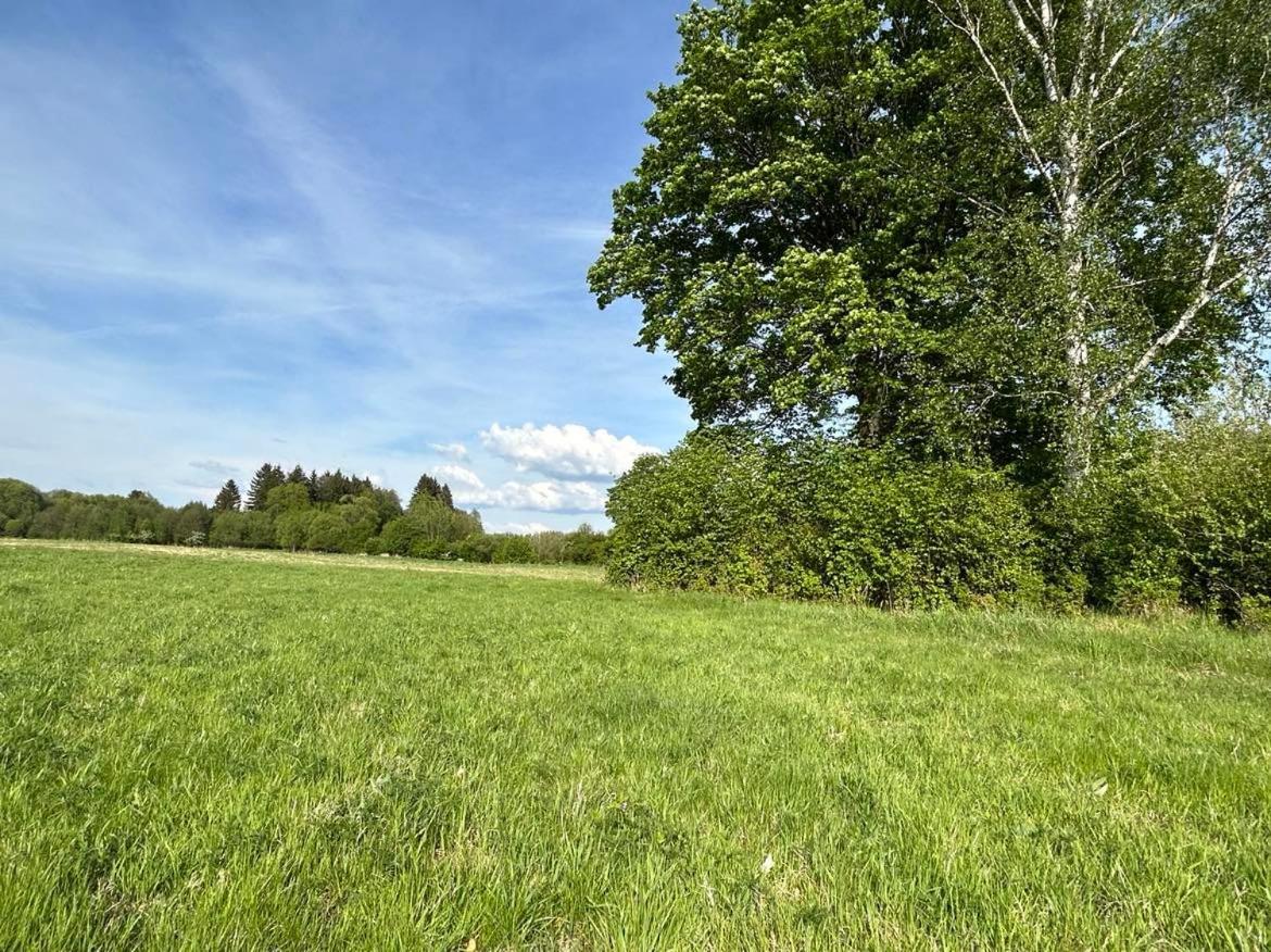 Apartament Lesny Park Polanica Szczytna Zewnętrze zdjęcie