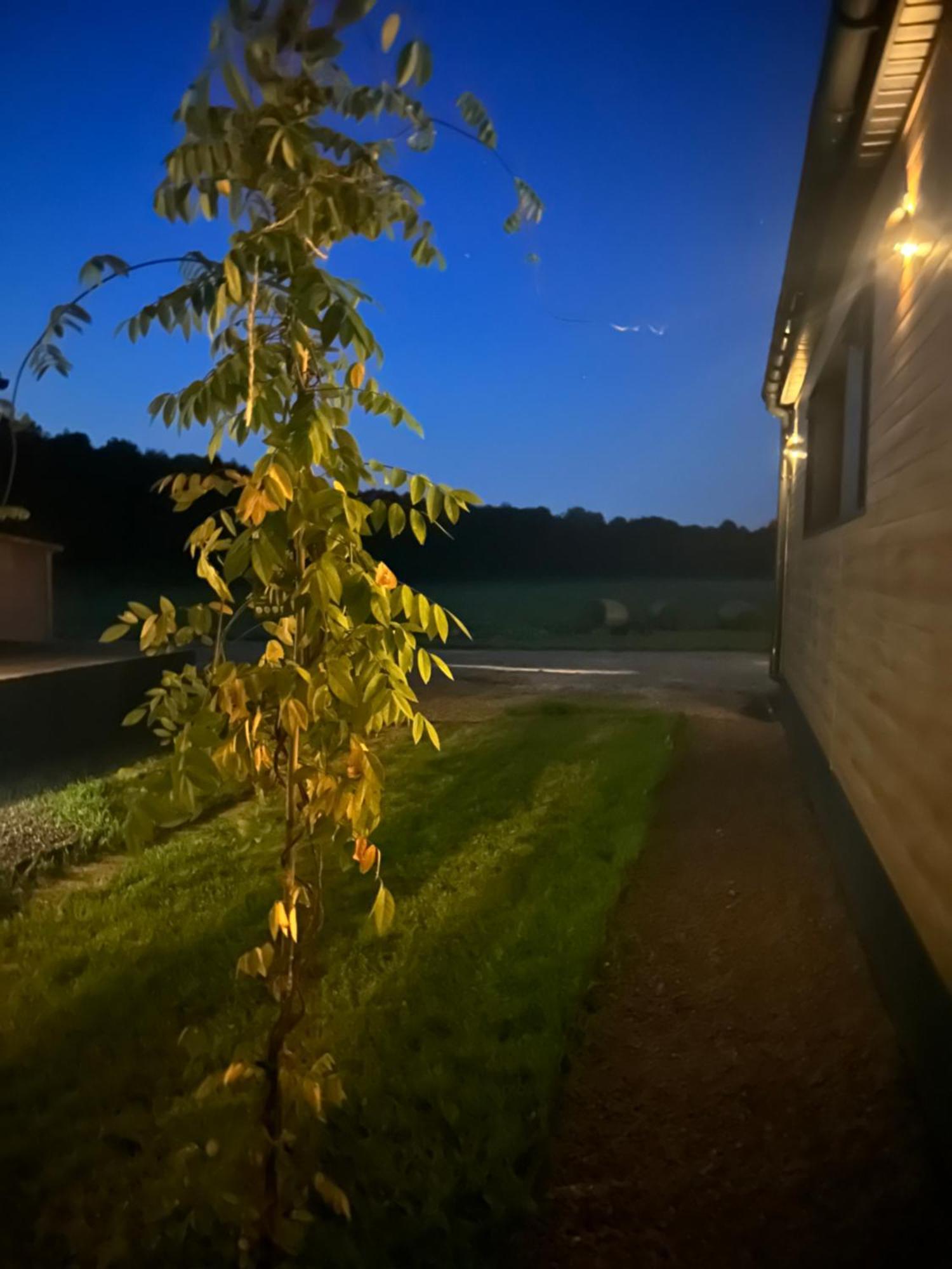 Apartament Lesny Park Polanica Szczytna Zewnętrze zdjęcie