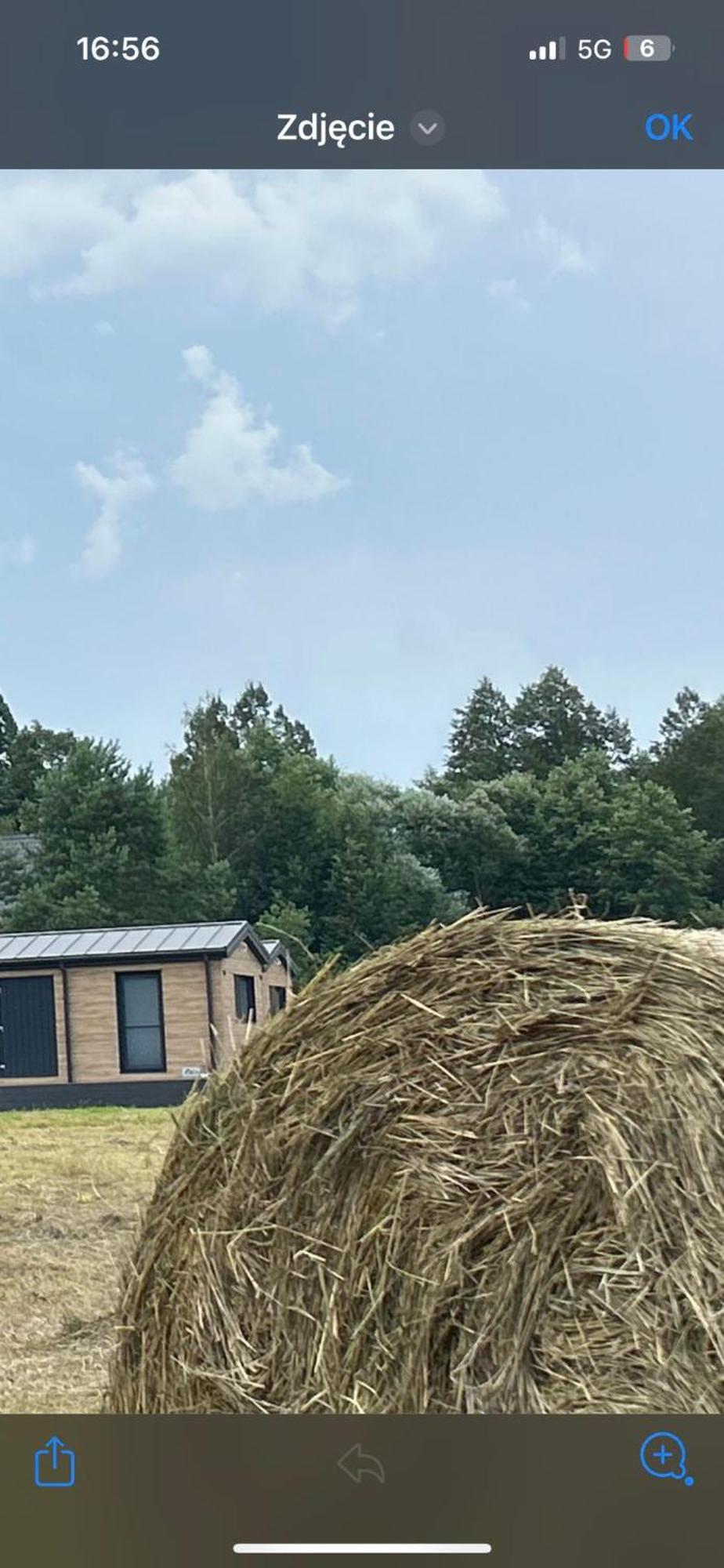 Apartament Lesny Park Polanica Szczytna Zewnętrze zdjęcie