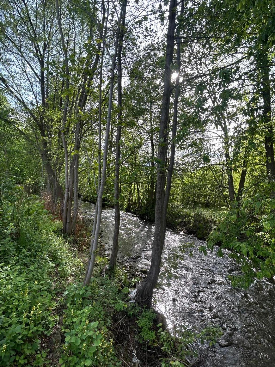 Apartament Lesny Park Polanica Szczytna Zewnętrze zdjęcie